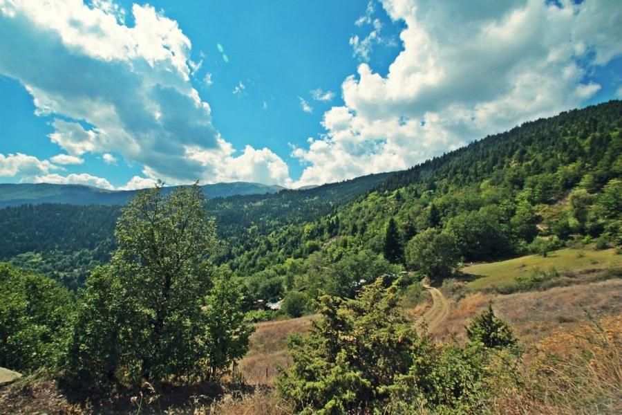 Omilaia Gardiki Exterior foto