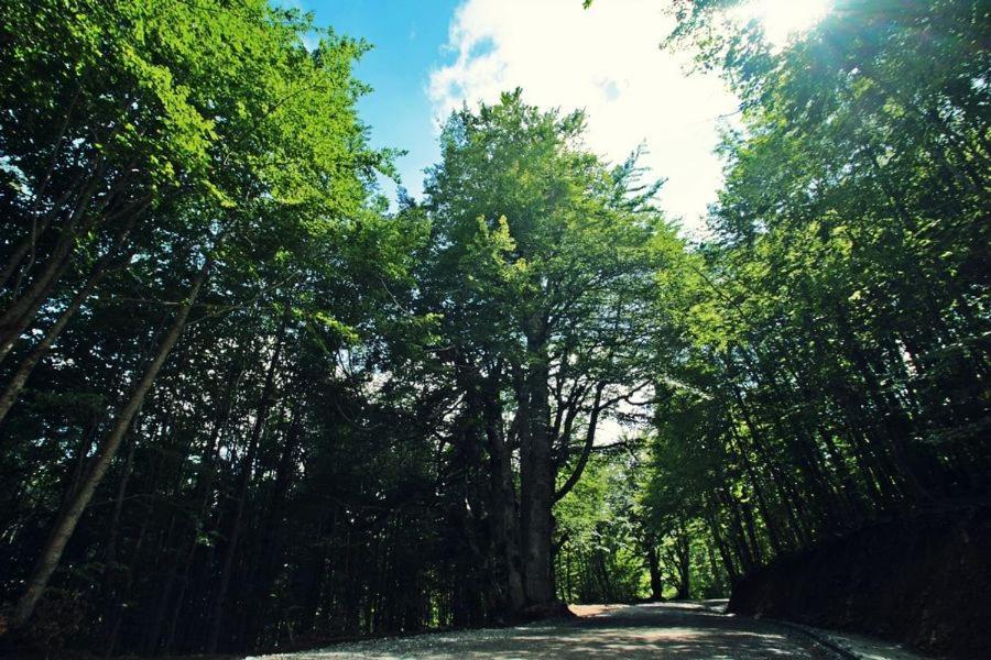 Omilaia Gardiki Exterior foto